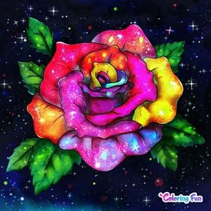 Meet your Posher, Charleen